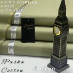 Pasha Premium Quality Soft Egyptian Cotton | Green
